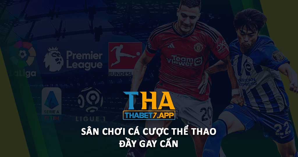 Sân chơi cá cược THA thể thao đầy gay cấn